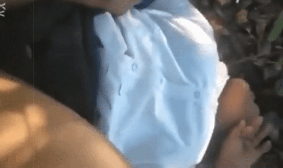 colegialas