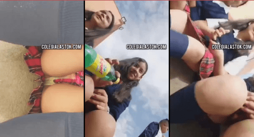 colegialas